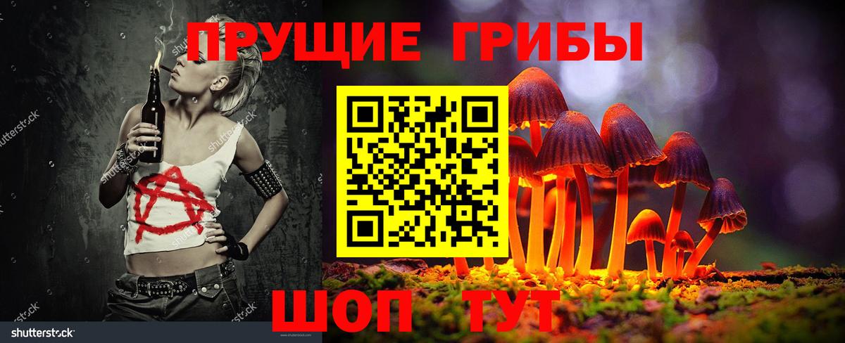 Солнечногорск  Псилоцибиновые грибы мицелий  Вход с VPN 